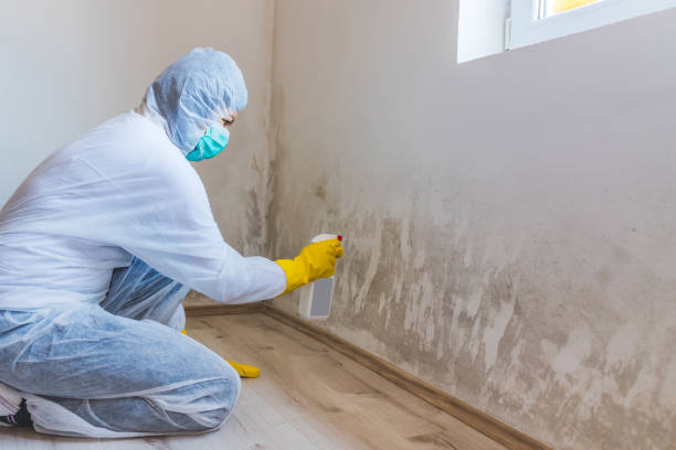 Crawl Space Mold Remediation treatment of floor joists in Farmingville